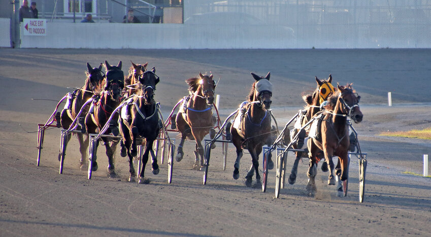 Meadows Casino
